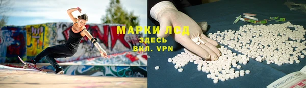 PSILOCYBIN Алзамай