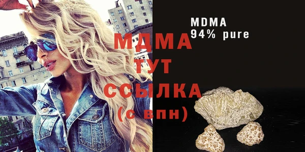 PSILOCYBIN Алзамай