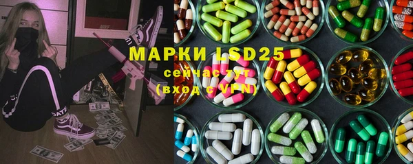 PSILOCYBIN Алзамай