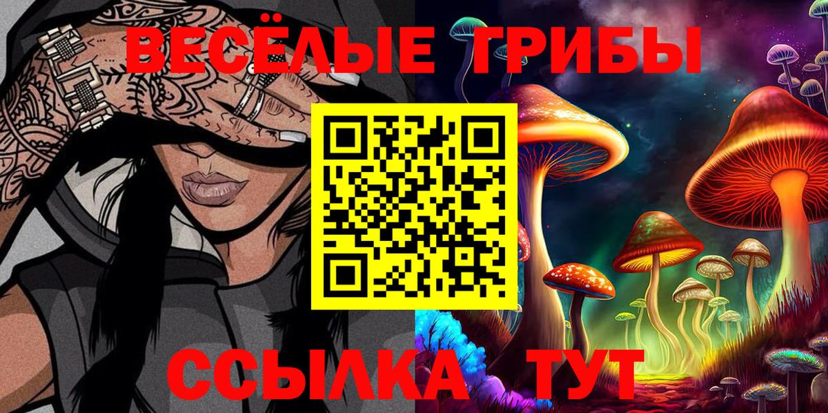 Псилоцибиновые грибы Psilocybine cubensis Родники