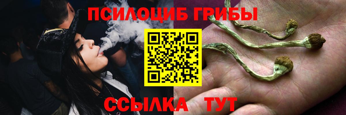 Галлюциногенные грибы ЛСД  купить   Родники  Вход с VPN 